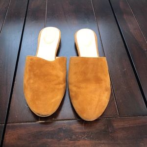 M. Gemi Isola slides